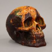 A model of a skull.