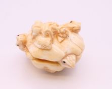 A bone carving formed as frogs. 3.5 cm high.