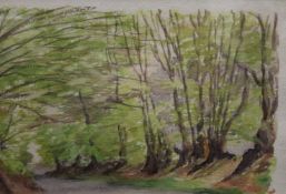GERALDINE MEAD, Woodland Spring, watercolour, framed and glazed. 34.5 x 23.5 cm.