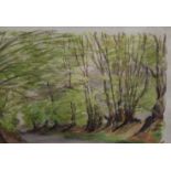 GERALDINE MEAD, Woodland Spring, watercolour, framed and glazed. 34.5 x 23.5 cm.