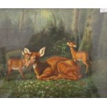 AMERICAN SCHOOL, Deer in Woodland Clearing, oil on canvas, signed HOOK, framed and glazed.
