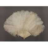 An ostrich feather fan with bone guards. 40 cm high.