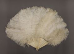 An ostrich feather fan with bone guards. 40 cm high.