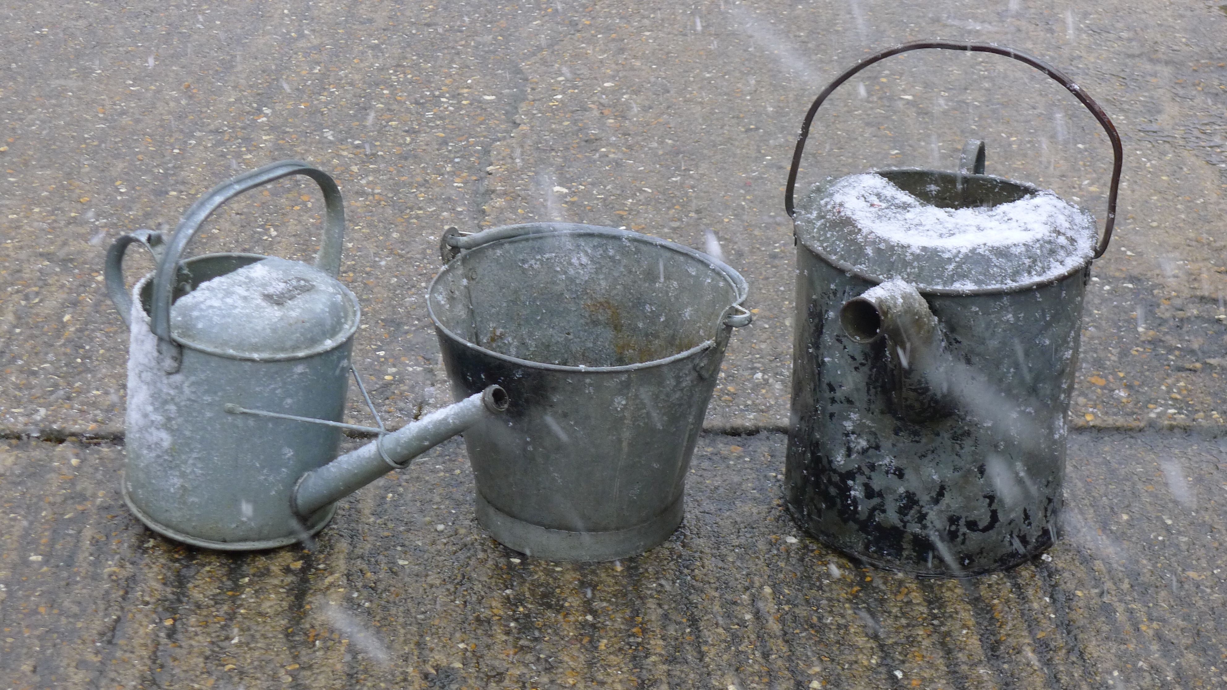 Two galvanized watering cans and a bucket.