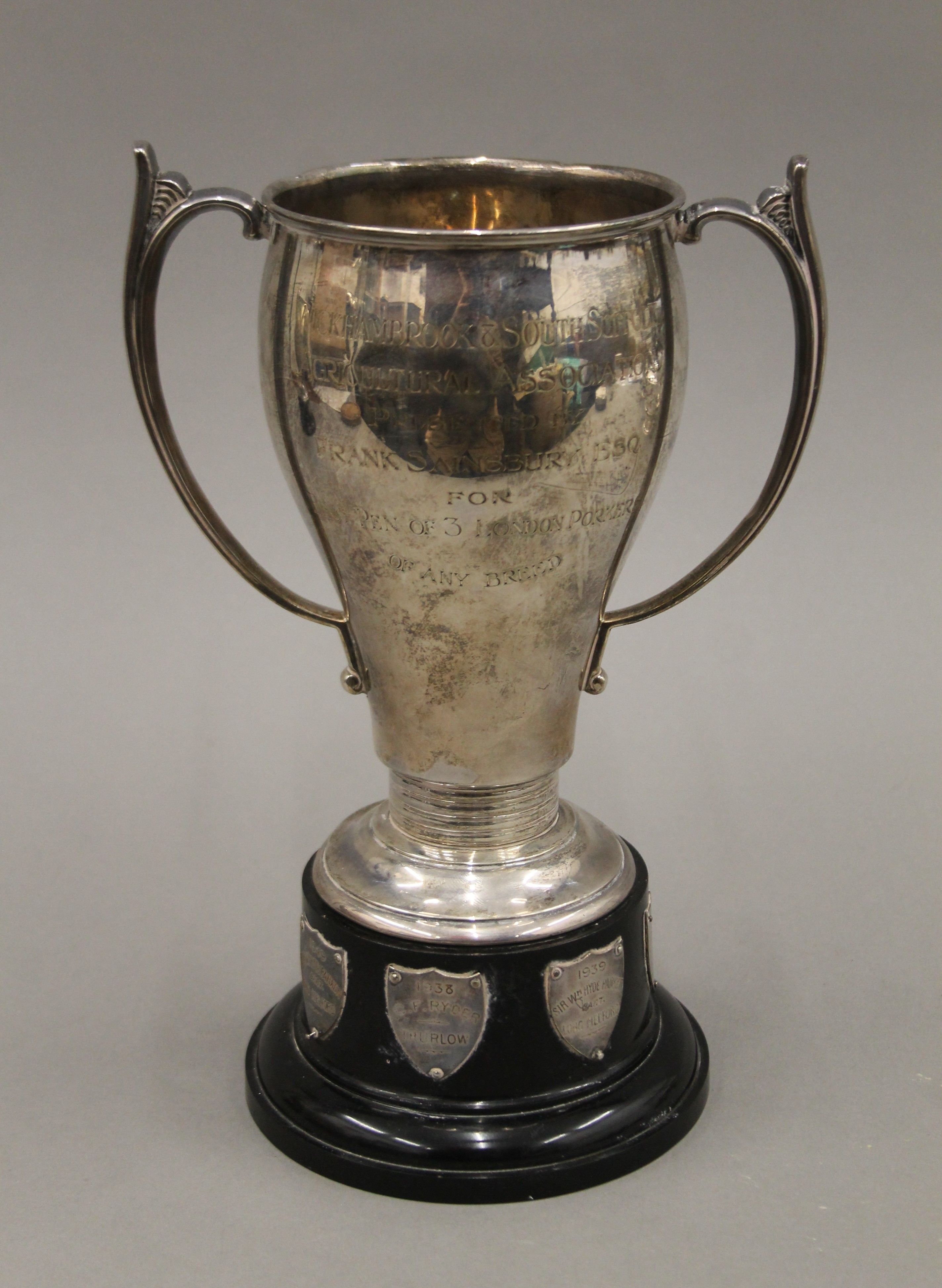 A silver twin handled trophy cup on stand. 24 cm high overall. 366.8 grammes.