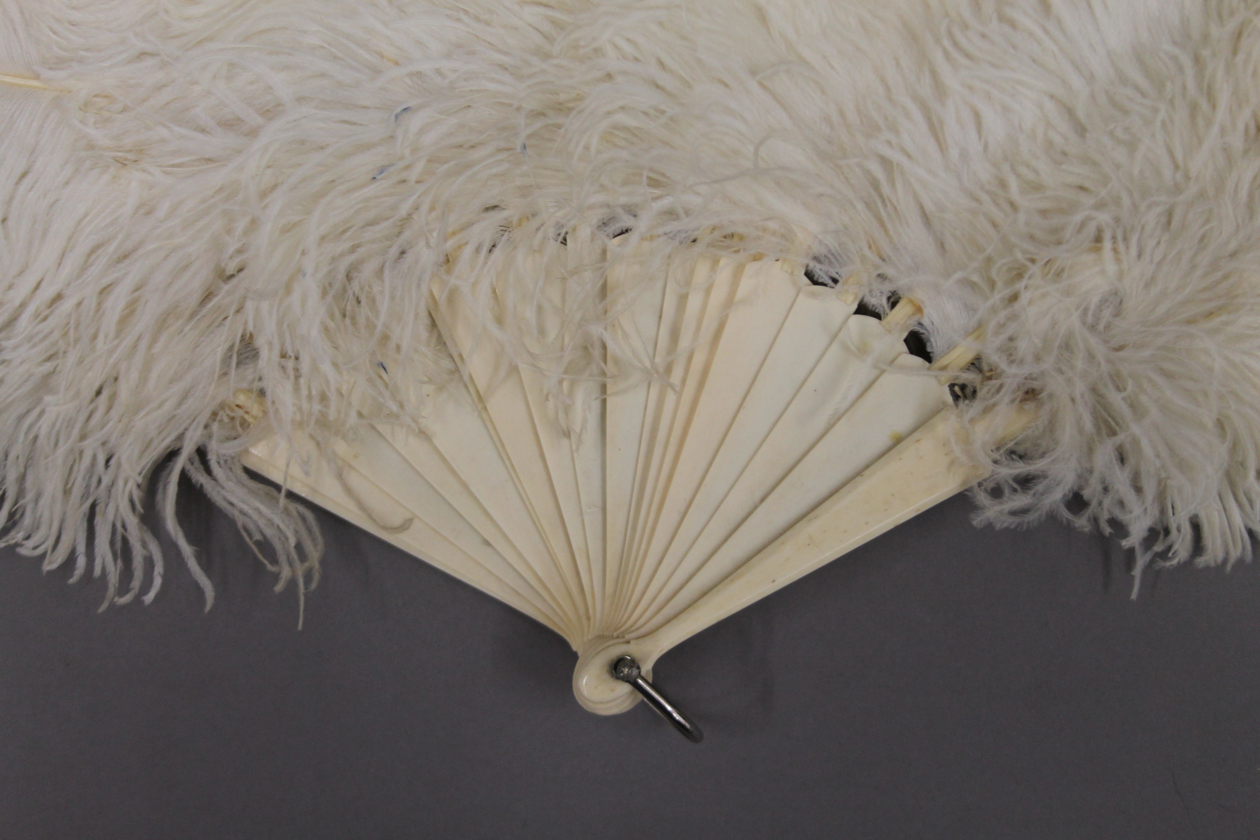 An ostrich feather fan with bone guards. 40 cm high. - Image 2 of 4