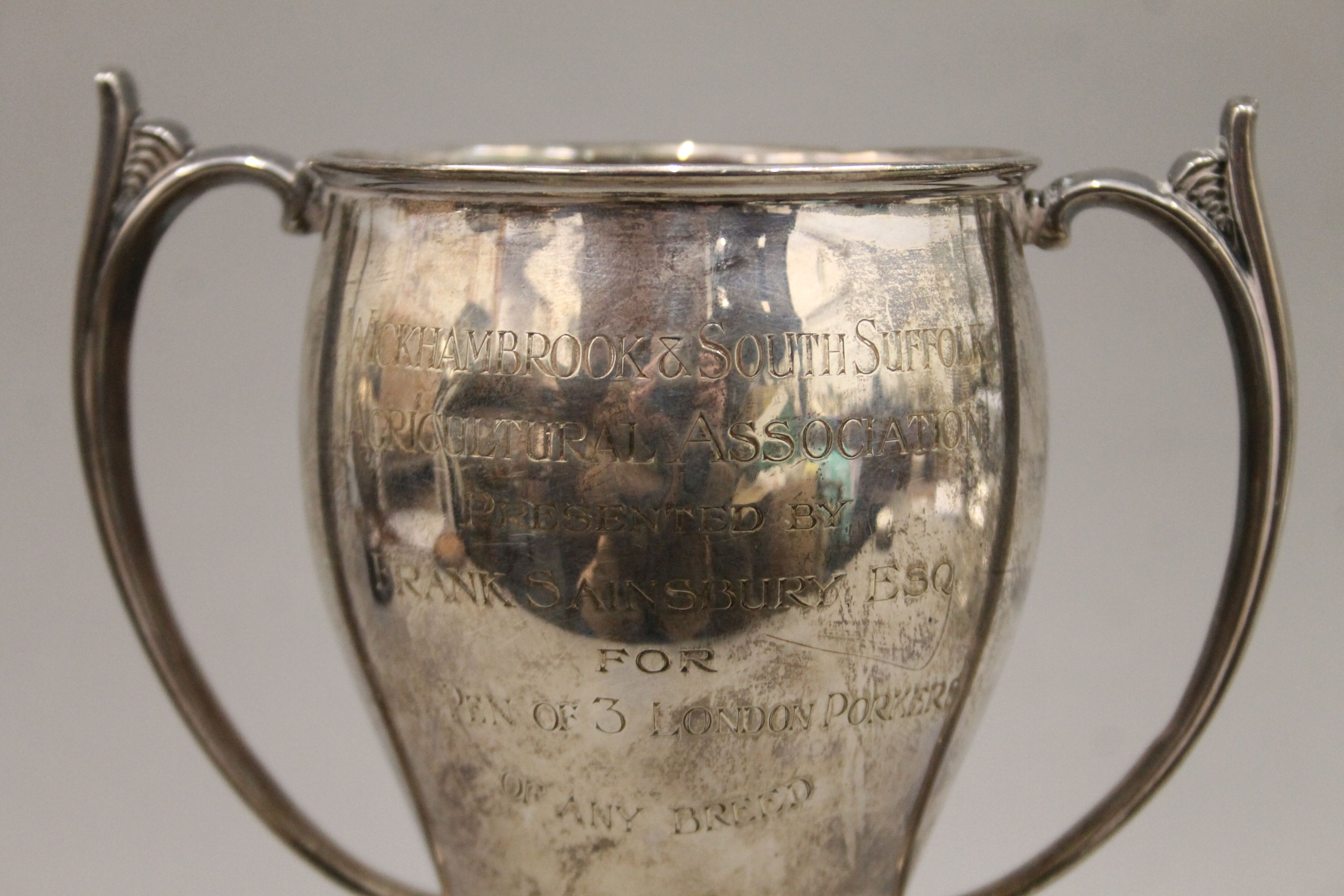 A silver twin handled trophy cup on stand. 24 cm high overall. 366.8 grammes. - Image 3 of 6