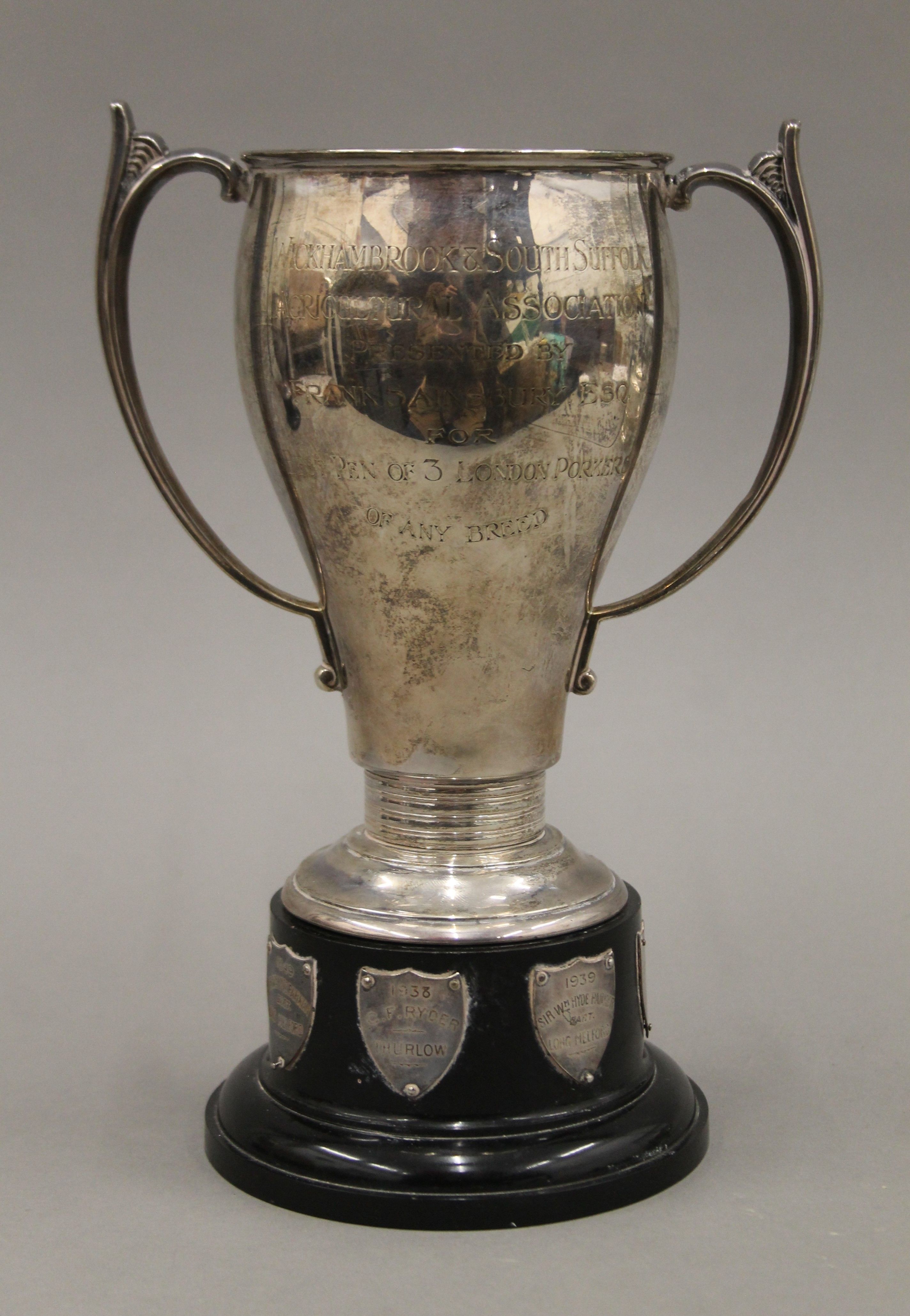 A silver twin handled trophy cup on stand. 24 cm high overall. 366.8 grammes. - Image 2 of 6