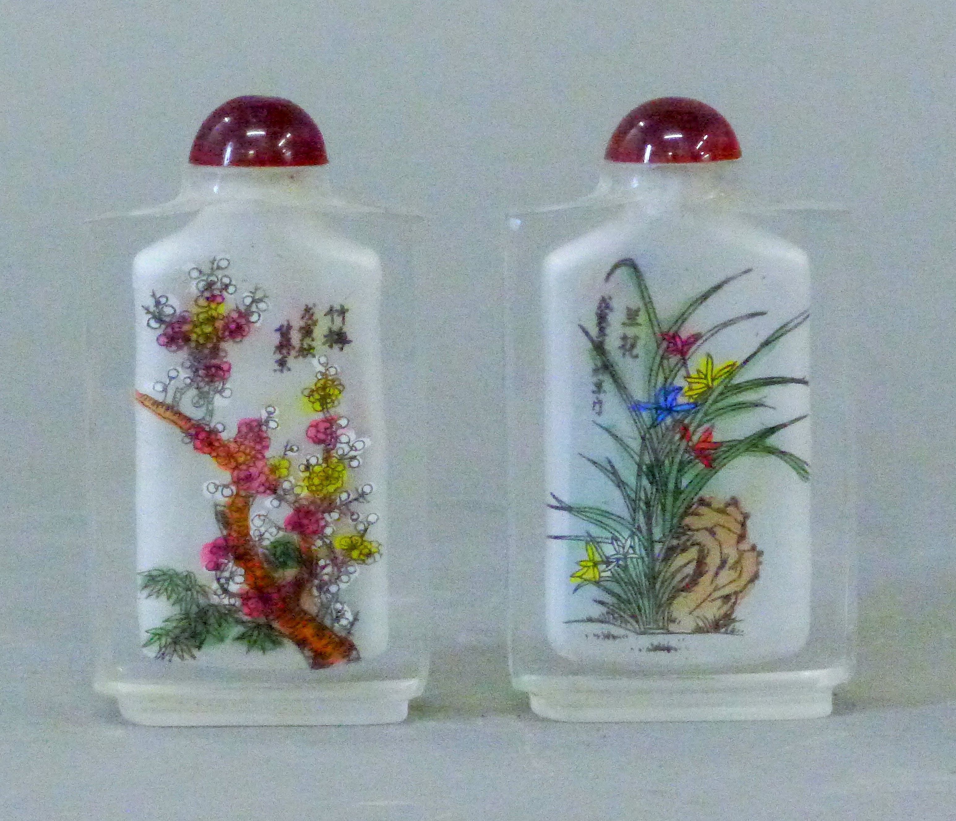 A pair of Chinese reverse painted snuff bottles. - Image 3 of 5