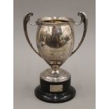 A silver twin handled trophy cup on stand. 25 cm high. 580.1 grammes total weight including base.