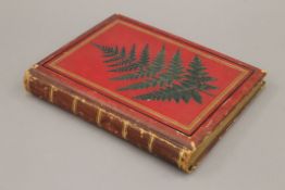 A photograph album, circa 1870s, English, Channel Islands, Norway, etc.