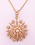 A 14 ct gold and pearl star form pendant and chain, cased. Star 3 cm diameter, chain 43 cm long. 8.