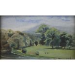 Country Scene, oil on board, signed with initials R.E.N, framed. 22.5 x 13 cm.