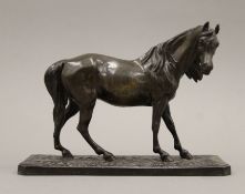 After MENE, a patinated bronze model of a horse. 24 cm long.