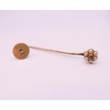 A boxed 15 ct gold ruby and seed pearl stick pin. 5.5 cm long. 2.3 grammes total weight.