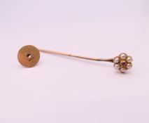 A boxed 15 ct gold ruby and seed pearl stick pin. 5.5 cm long. 2.3 grammes total weight.