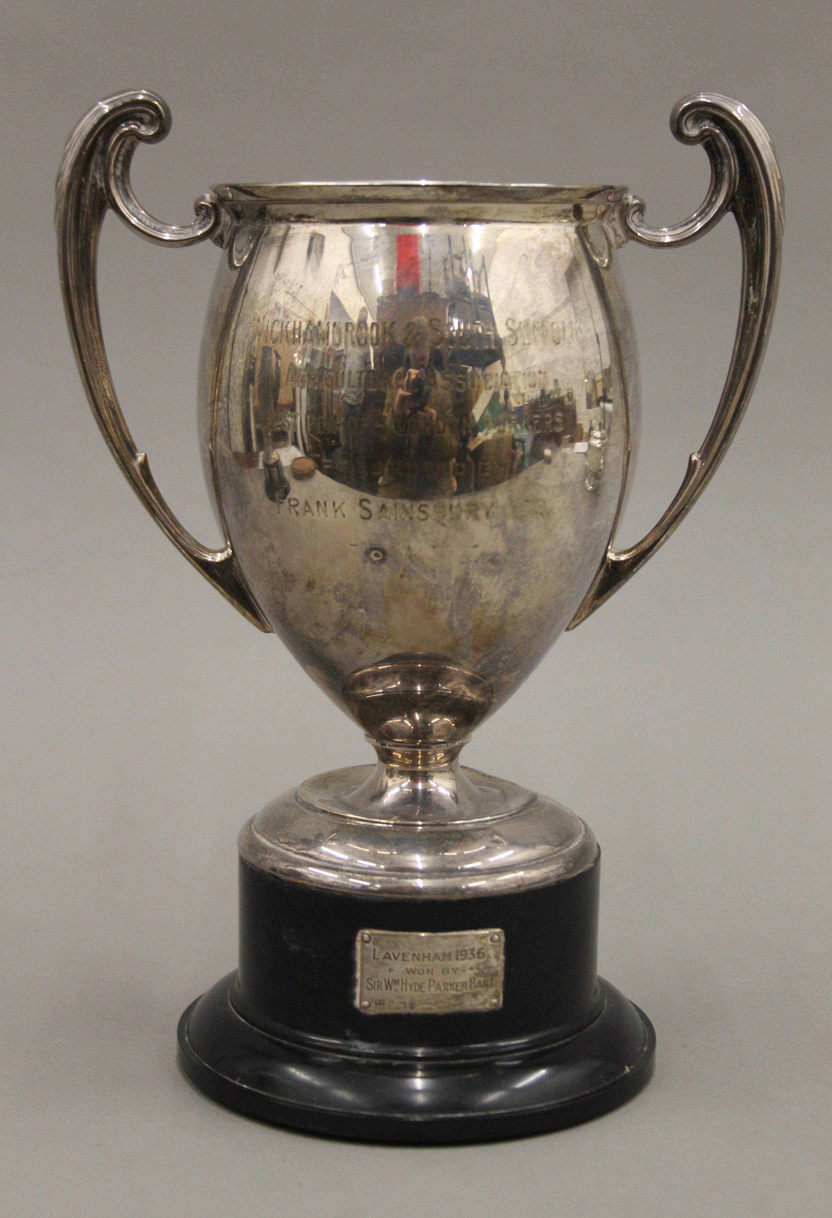 A silver twin handled trophy cup on stand. 25 cm high. 580.1 grammes total weight including base. - Image 2 of 6
