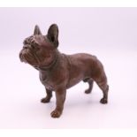 A bronze model of a French bulldog. 7 cm long.