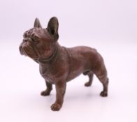 A bronze model of a French bulldog. 7 cm long.