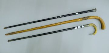 A 19th century sword stick and two walking sticks. The former 95 cm long.