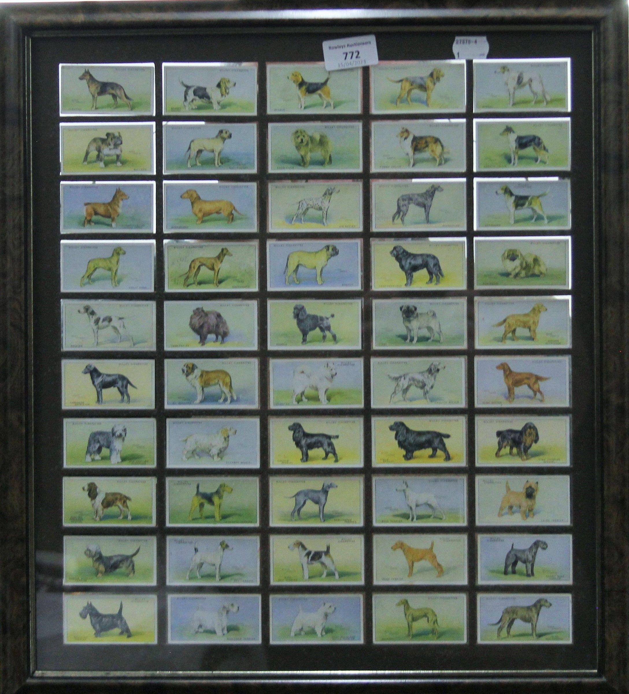 Wills cigarette cards, Dogs 1937 and Players cigarette cards, Dog Heads 1929, - Image 3 of 4