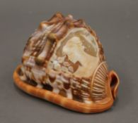 A carved seashell cameo of a young woman. 14 cm long.