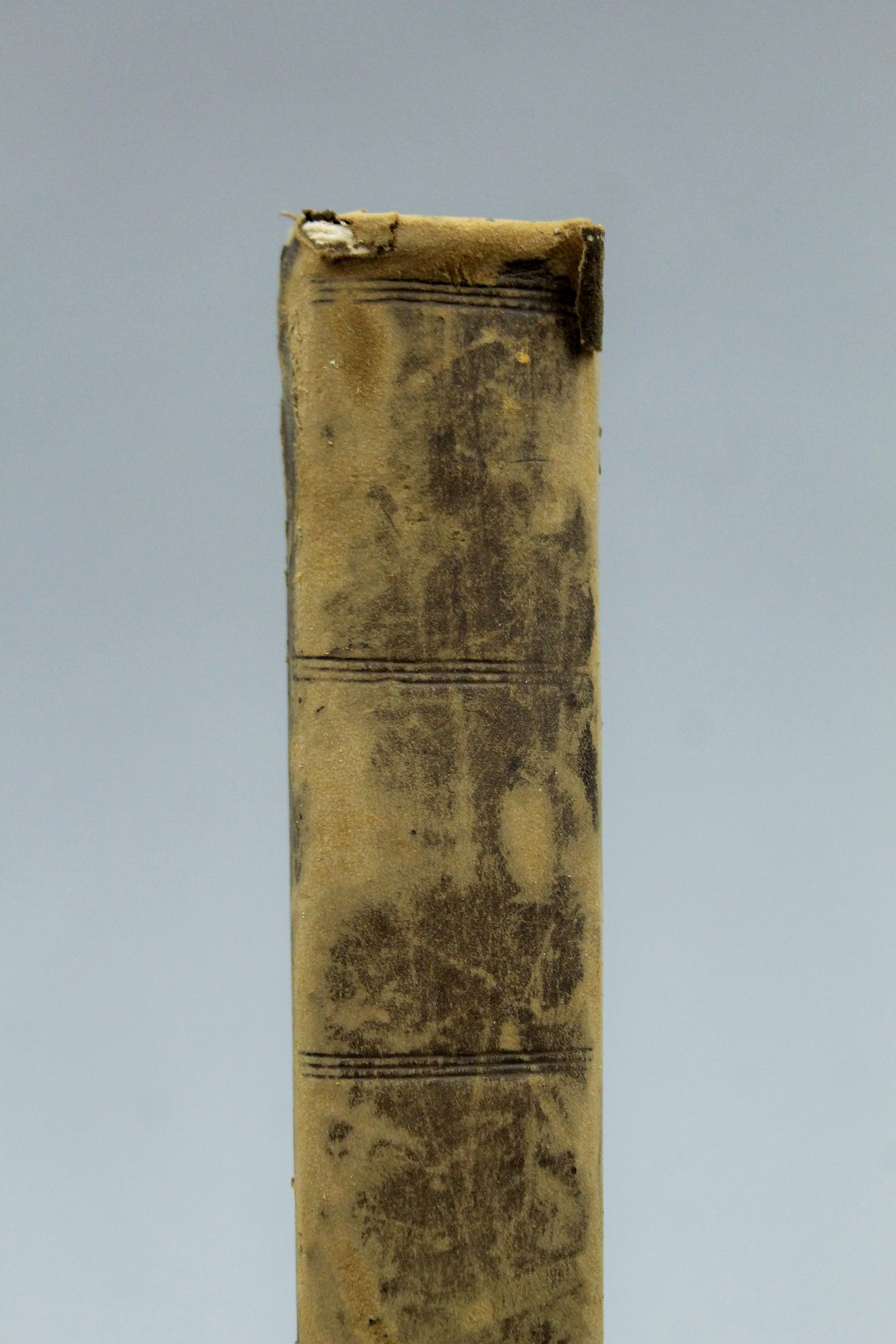 Nineteenth Century Manuscript Library Catalogue, contemporary half calf. - Image 2 of 11