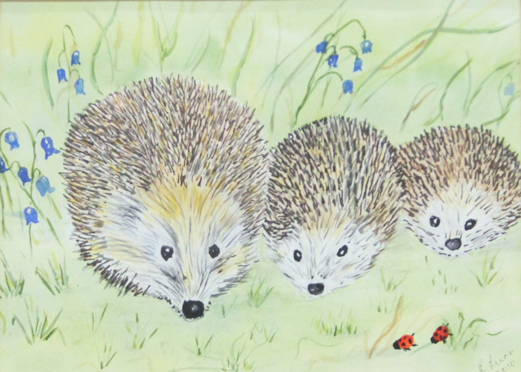 R LUNN, Three Hedgehogs, watercolour, framed and glazed. 17.5 x 12.5 cm.