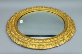 A gilt framed convex mirror. 55 cm diameter.