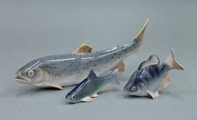 Three Royal Copenhagen porcelain fish. The largest 20.5 cm long.