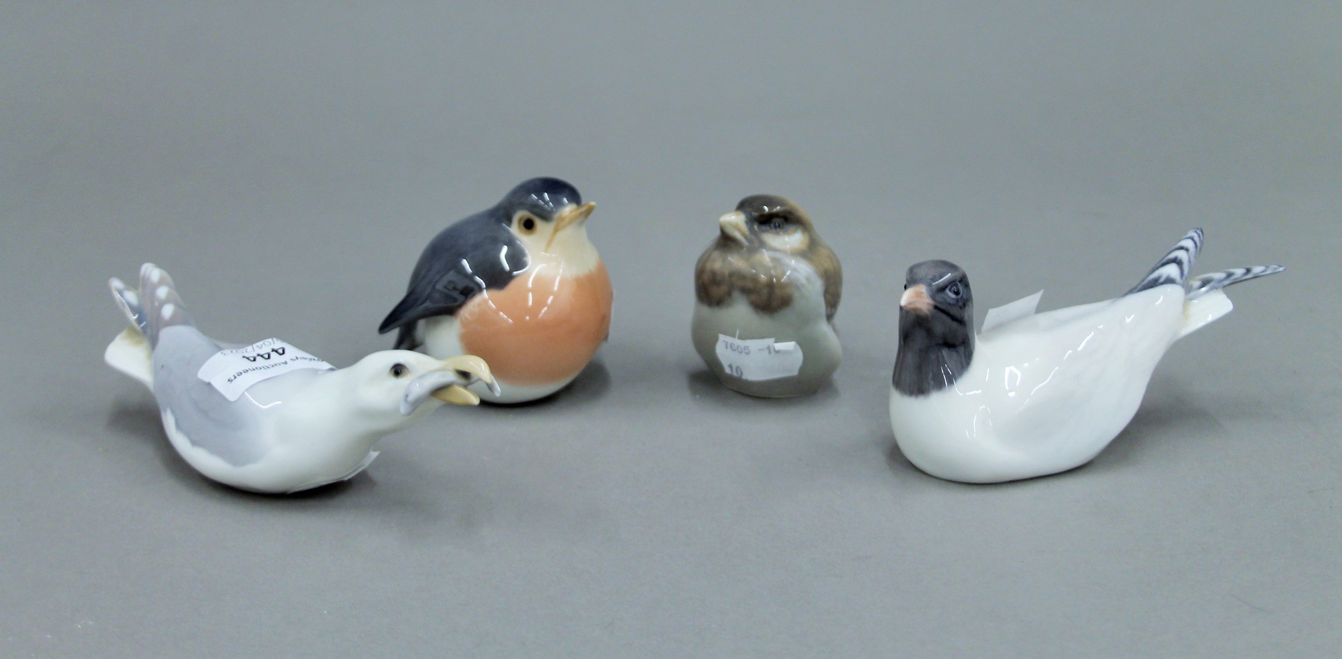 Four Royal Copenhagen porcelain birds. The largest 14 cm long.