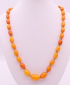 A string of vintage butterscotch amber graduated beads. Approximately 64 cm long.