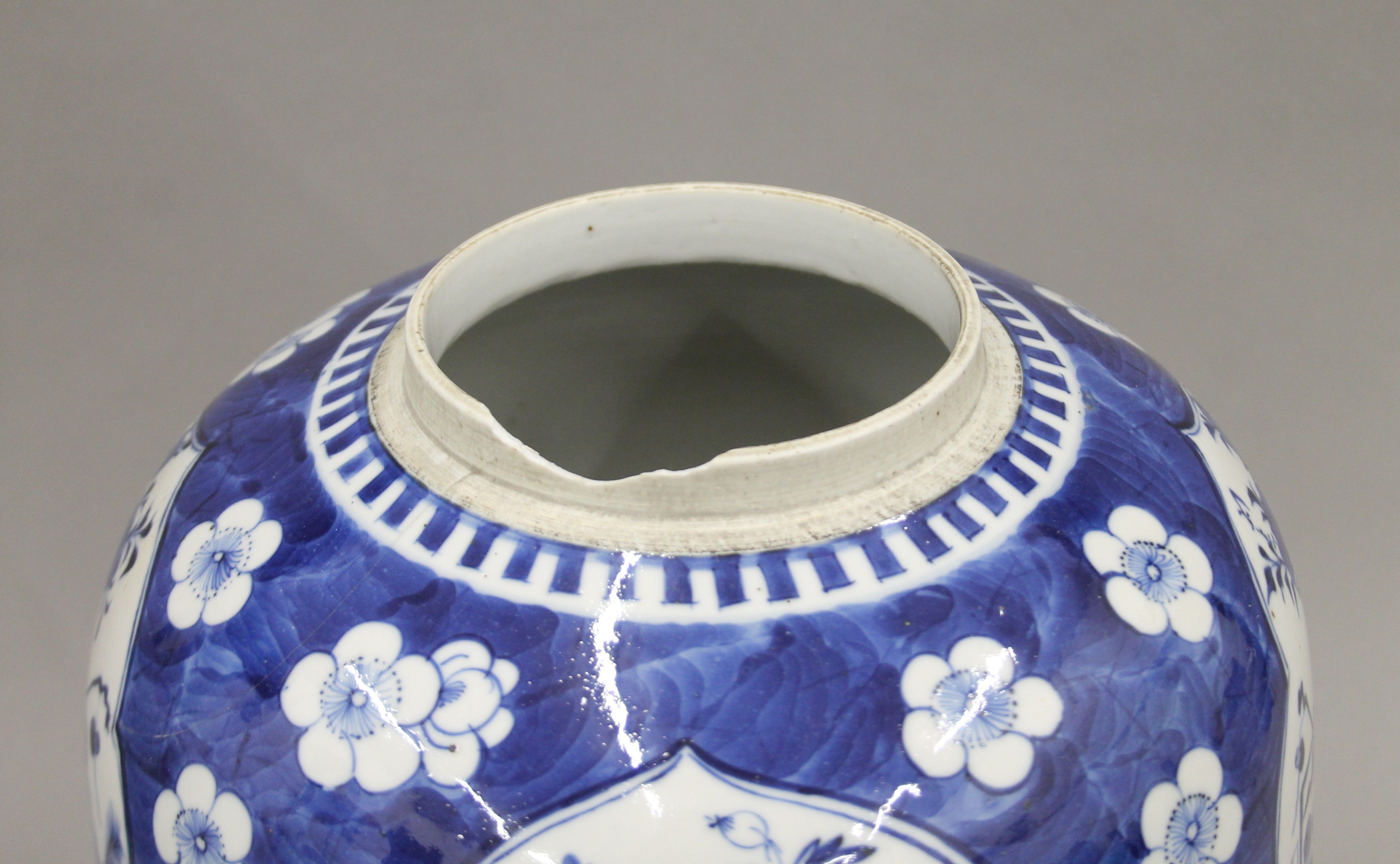 A large 19th century Chinese porcelain ovoid blue and white ginger jar painted with panels of - Image 4 of 7