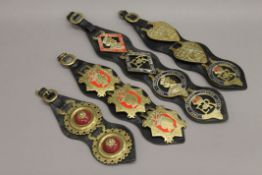 A large quantity of horse brasses and tack.