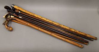 A collection of ten various walking sticks. The largest 98 cm long.