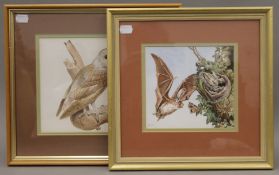 JOHN LAST, Barn Owl, watercolour and another of a Bat by the same hand, each framed and glazed.