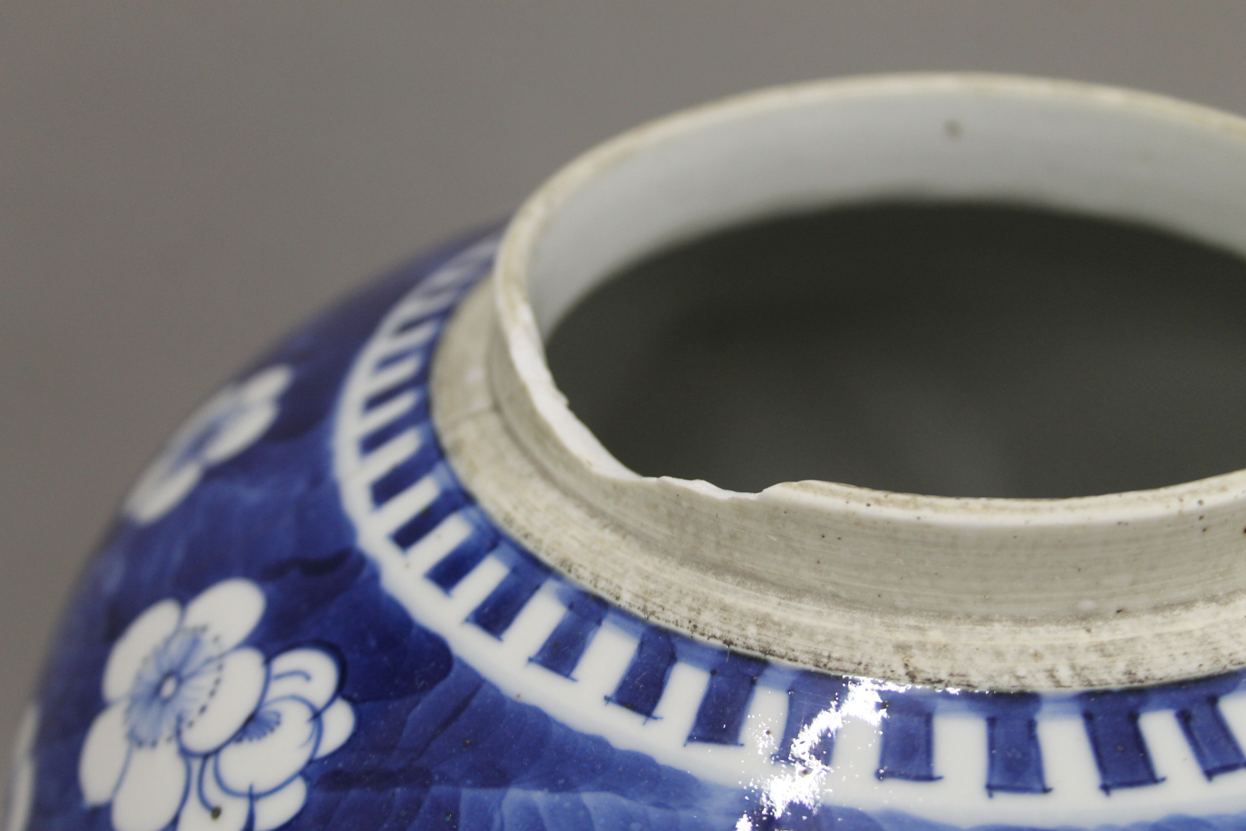 A large 19th century Chinese porcelain ovoid blue and white ginger jar painted with panels of - Image 5 of 7