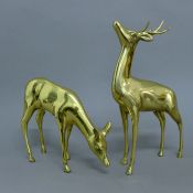 A pair of brass deer. The largest 34 cm high.