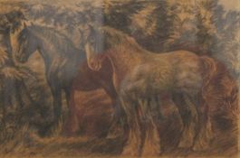 ANTON LOCX?, Two Shire Horses, pencil on paper, framed and glazed. 31.5 x 21.5 cm.