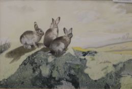 Rabbits, watercolour, signed with initials C.B and dated 1989, framed and glazed. 21.5 x 14.5 cm.