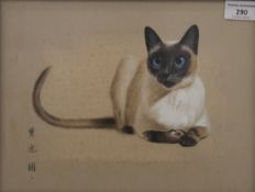 JAPANESE SCHOOL, Study of a Cat, watercolour, framed and glazed. 29 x 21.5 cm.