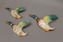 A set of three flying duck wall plaques. The largest 19 cm long.