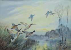 F G CHILCOTT, Ducks in Flight, oil on board, framed. 39 x 27.5 cm.