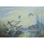 F G CHILCOTT, Ducks in Flight, oil on board, framed. 39 x 27.5 cm.