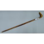 A walking stick, the handle formed as a dog's head. 93 cm long.