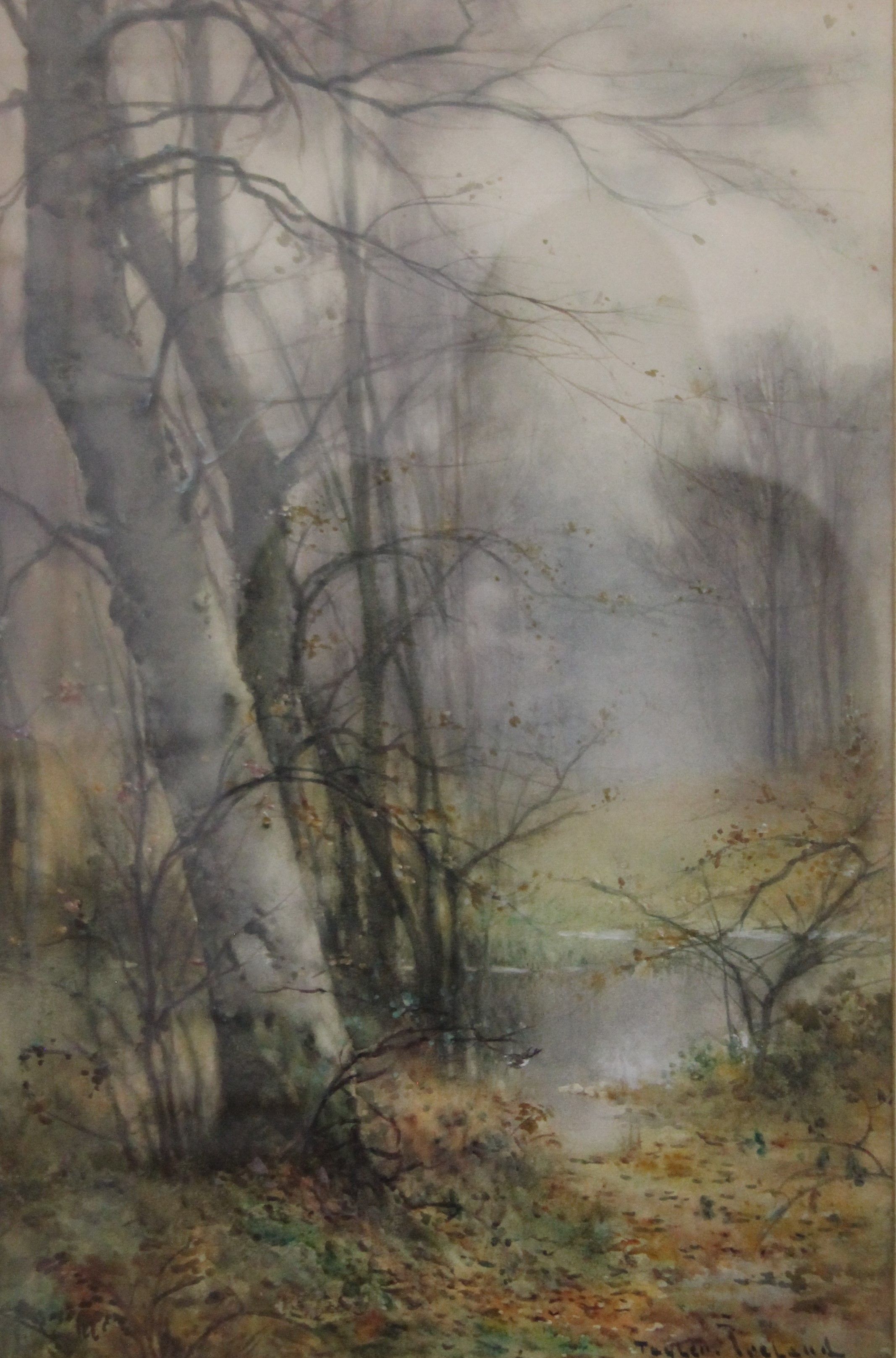 THOMAS TAYLOR IRELAND (19th century) British, Woodland Scene, watercolour, framed and glazed.