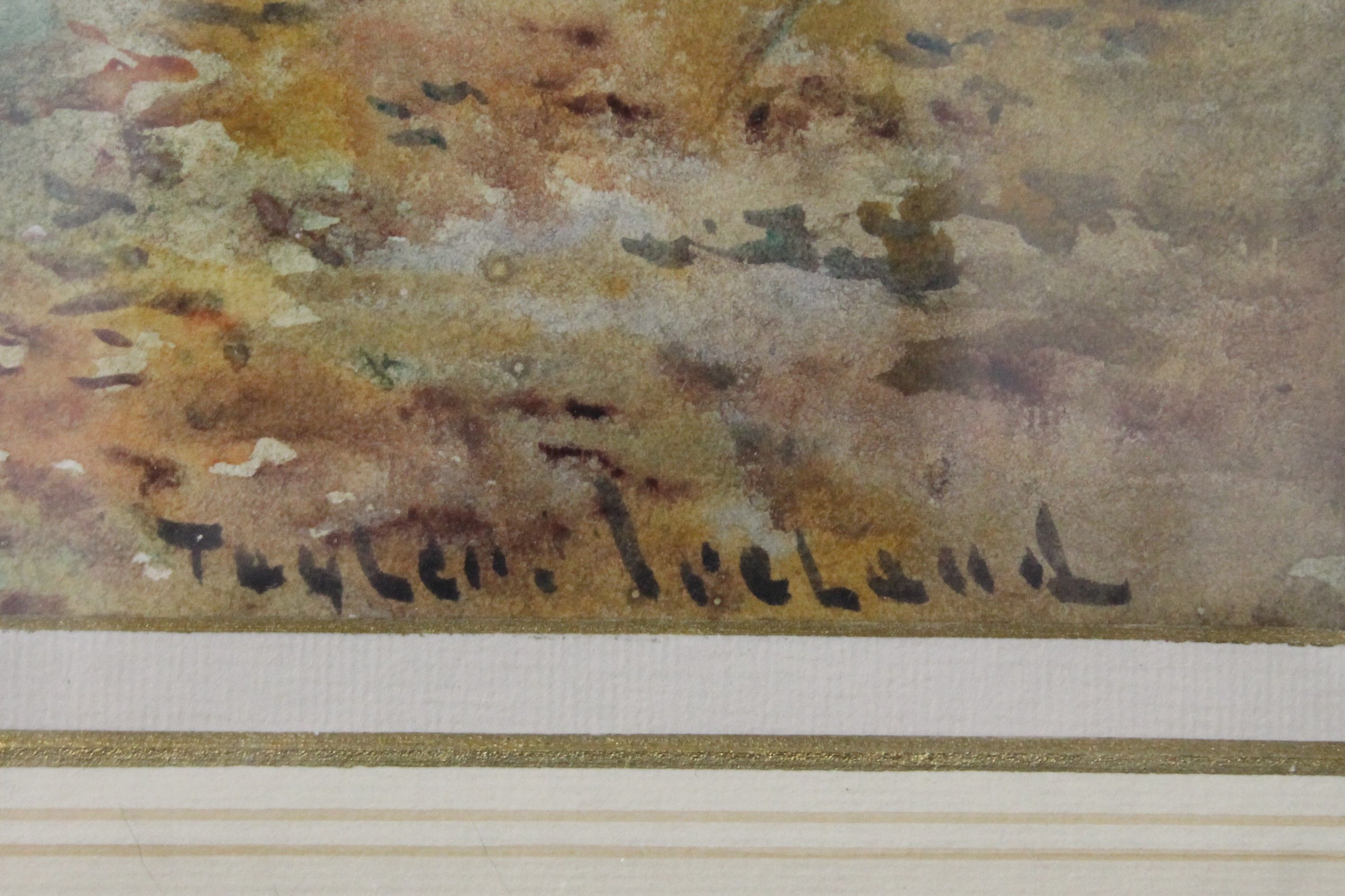 THOMAS TAYLOR IRELAND (19th century) British, Woodland Scene, watercolour, framed and glazed. - Image 3 of 3