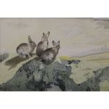 Rabbits, watercolour, signed with initials C.B and dated 1989, framed and glazed. 21.5 x 14.5 cm.