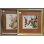 JOHN LAST, Barn Owl, watercolour and another of a Bat by the same hand, each framed and glazed.