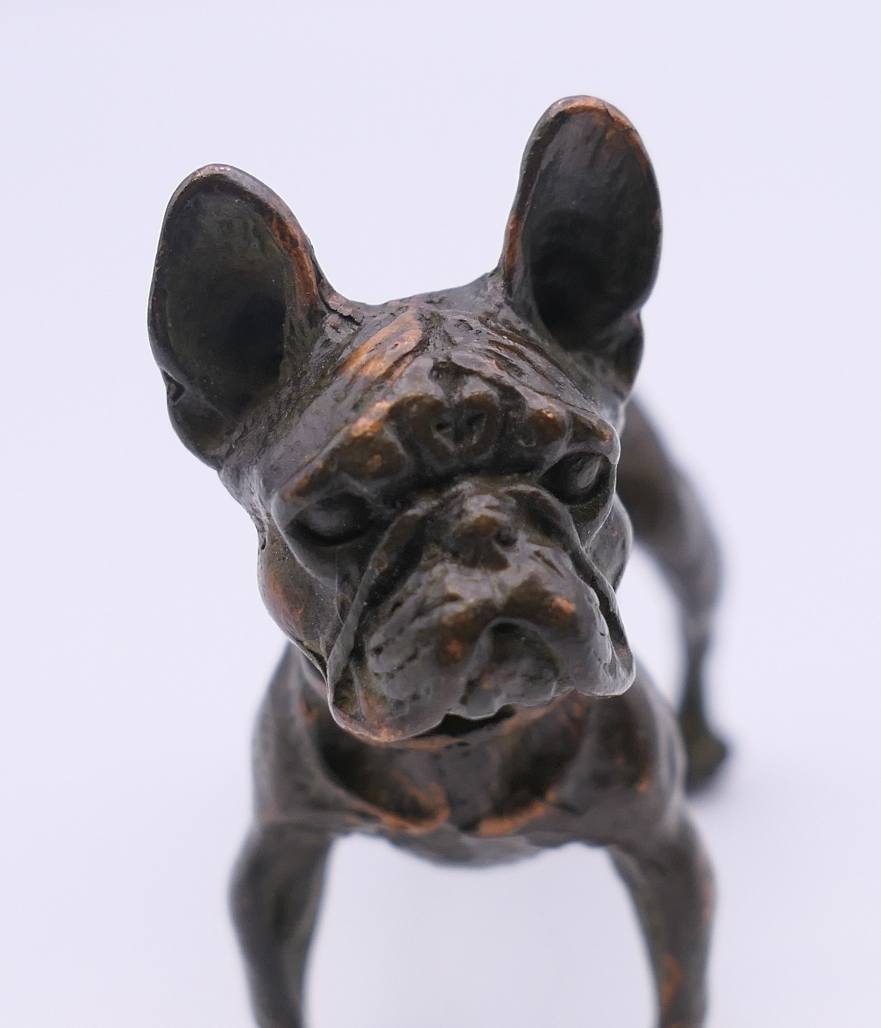 A bronze model of a French bulldog. 6 cm high. - Image 3 of 3